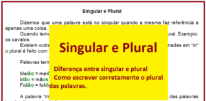 Read more about the article Conceito de Singular e Plural