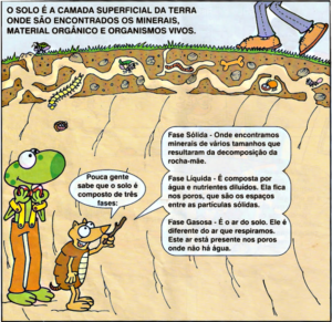 3º ano - O solo: composição, características, poluição e preservação ...