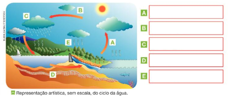 Atividade de Geografia - O Ciclo da Água e do Solo - 4º e 5º ano