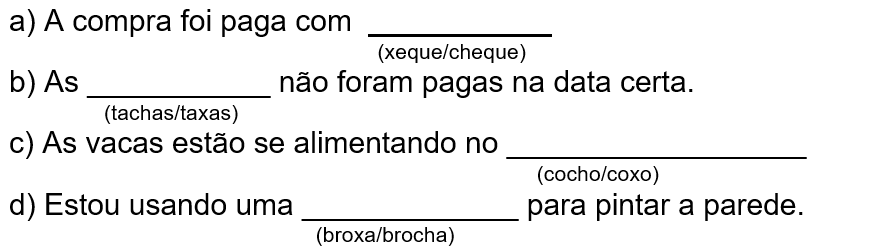 Exercicios de Palavras Homonimas