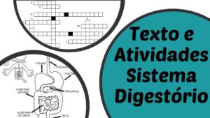 Read more about the article Sistema Digestório: texto e atividades