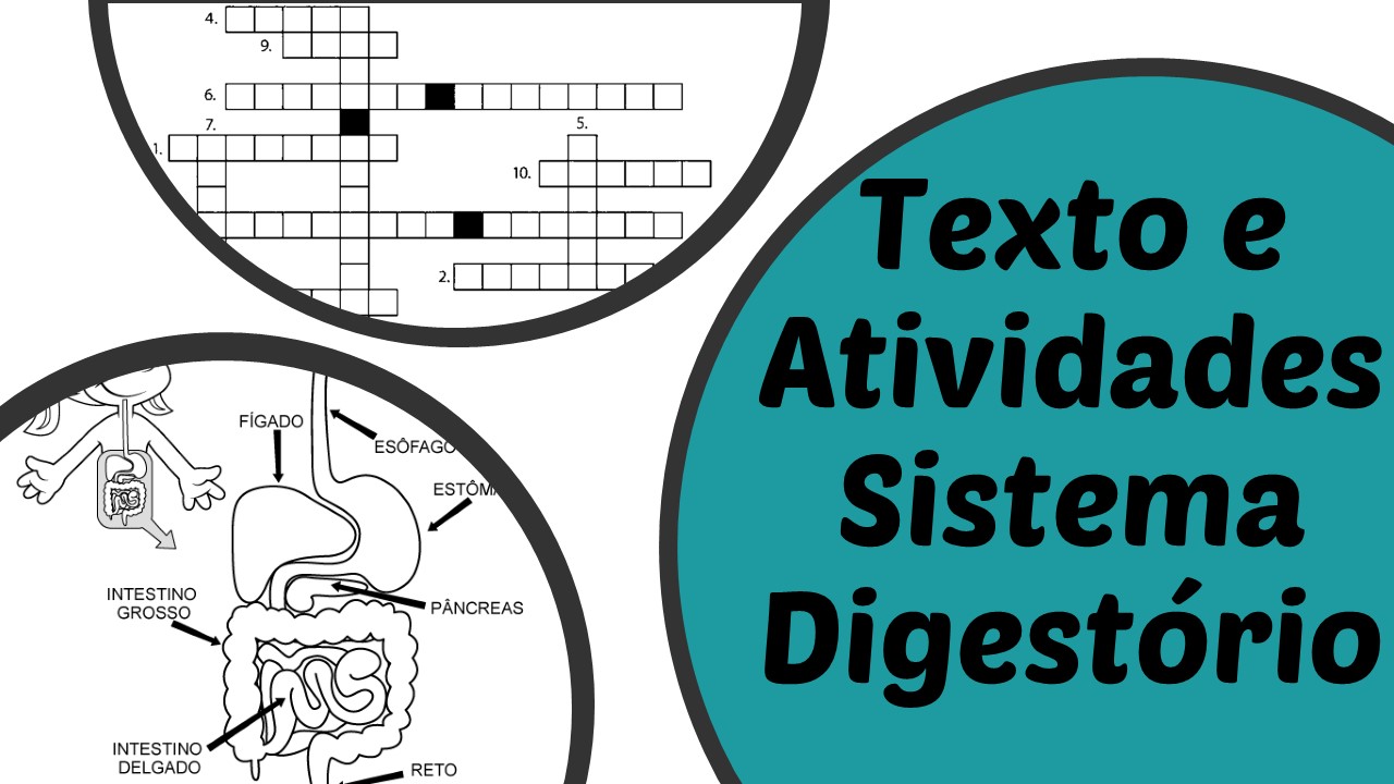 Sistema Digestório: texto e atividades