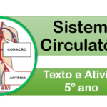 Sistema Circulatório: texto e atividades