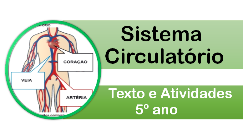 Sistema Circulatório: texto e atividades