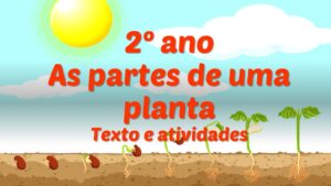 Read more about the article 2º ano – As plantas – Texto e atividades