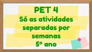 Read more about the article PET 4 – Só as atividades separadas por semanas – 5º ano